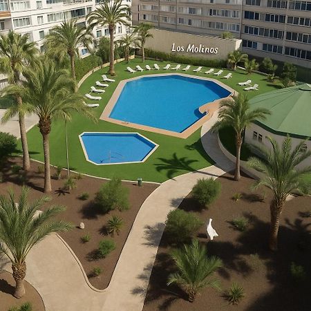Residence Los Molinos マスパロマス エクステリア 写真